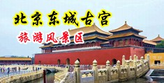 女生被操逼网站中国北京-东城古宫旅游风景区